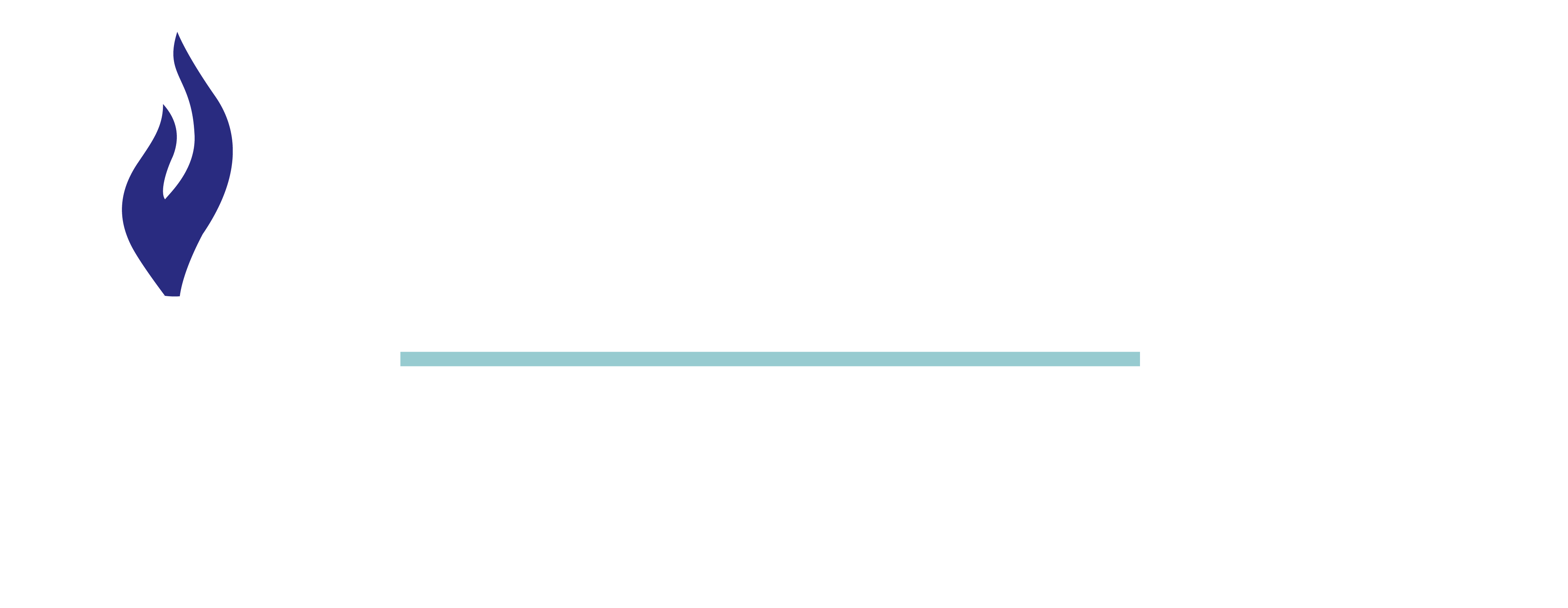 Logo Polbru